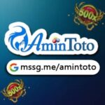 Profile photo of amintoto